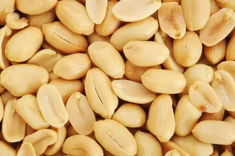 تصویر 1 از معرفی بادام زمینی کره گیری + بهترین قیمت خرید